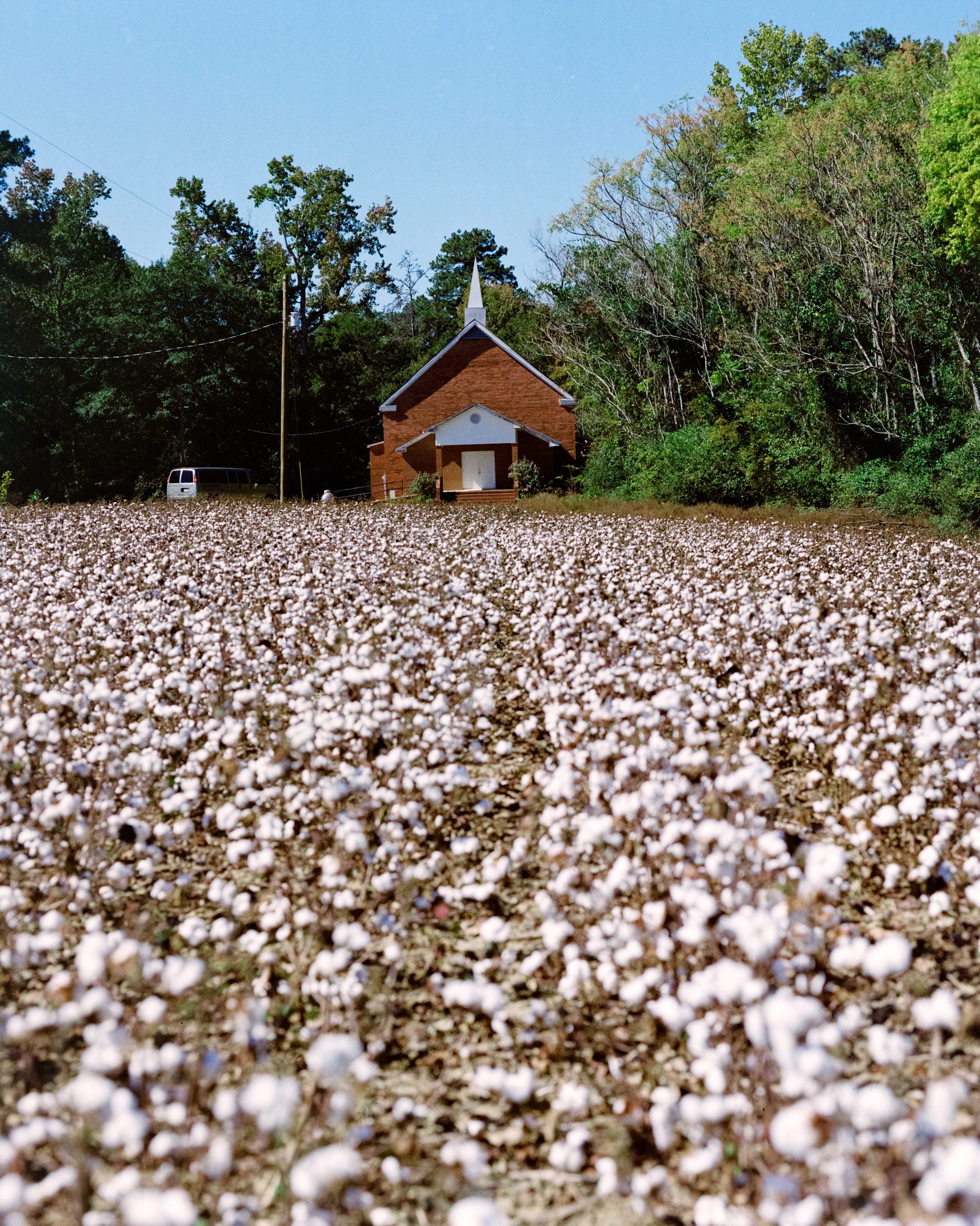The Road Ahead: On Inheritance and Dignity in Alabama
